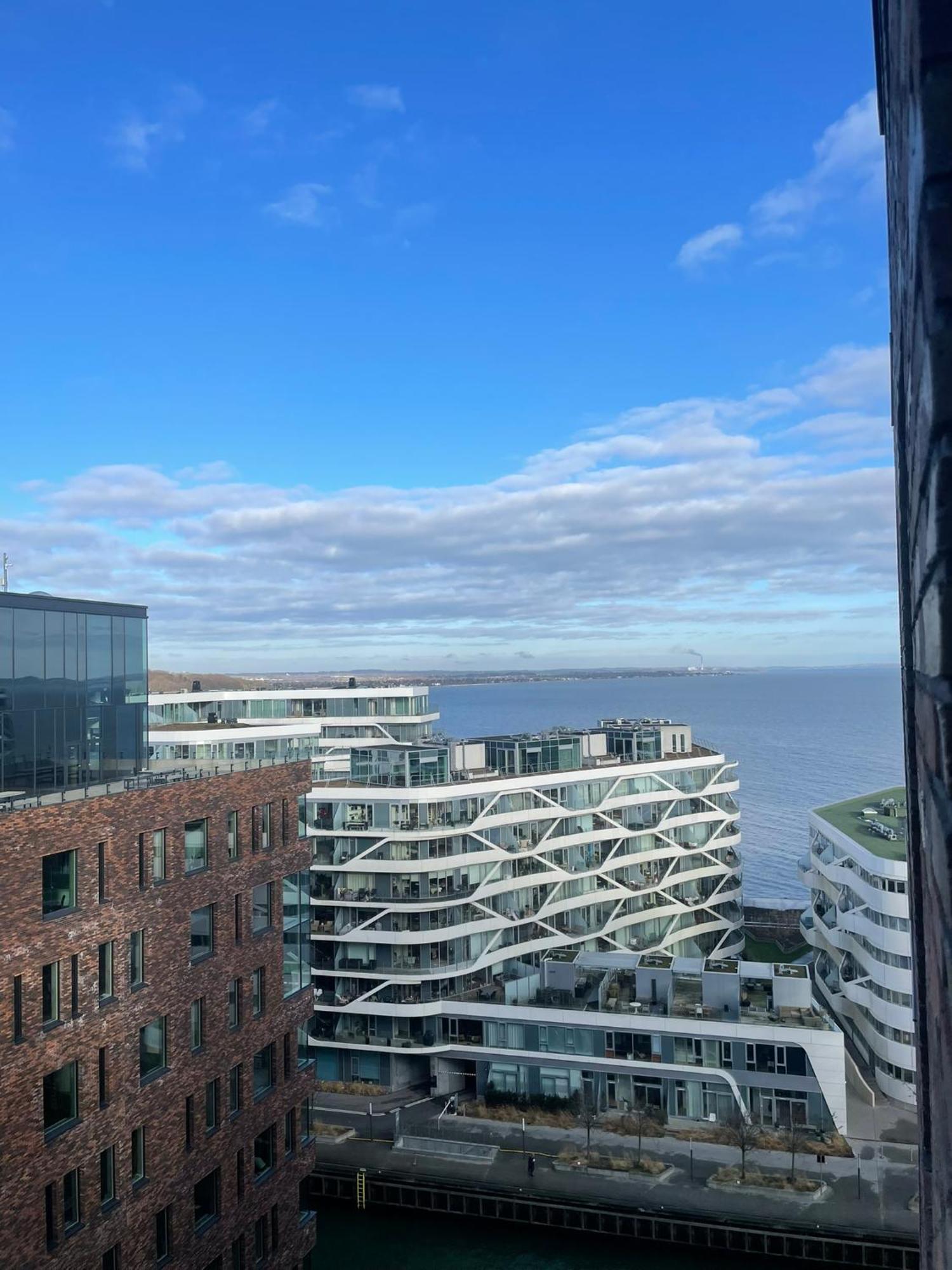 Appartement Private Seaview - 2 Balconies, 11th Floor, Elevator, Friendly Lively Area Århus