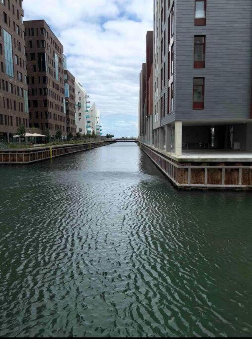 Private Seaview - 2 Balconies, 11th Floor, Elevator, Friendly Lively Area *